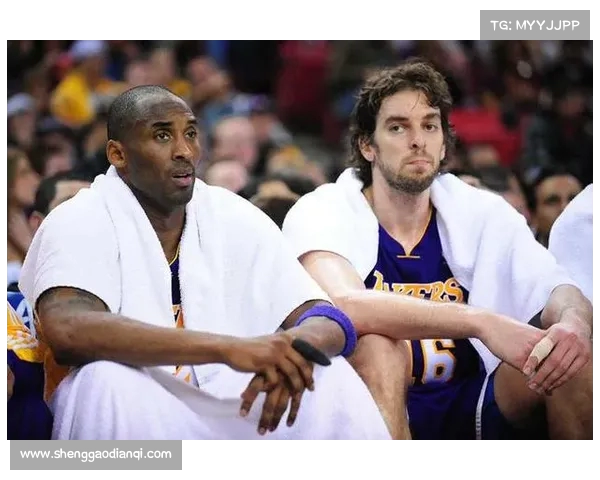 NBA无私传球:团队合作的力量与球场上的完美默契 NBA无私传球:团队合作的力量与球场上的完美默契