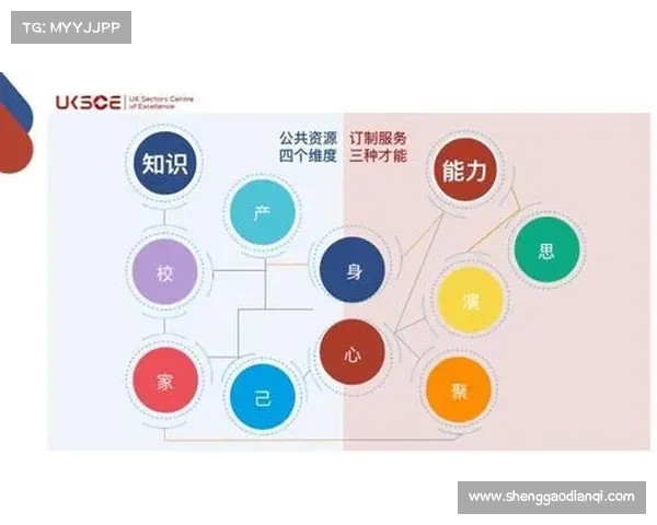 聚焦留洋计划促进青年发展助力国际化人才培养新路径